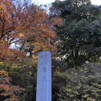 唐沢山城跡の写真・動画_image_694829