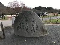 坂本八幡宮の写真・動画_image_695859
