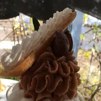 クリアンの写真・動画_image_696786