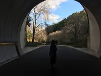 ミホミュージアム（バス）の写真・動画_image_697413