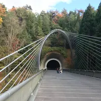 ミホミュージアム（バス）の写真・動画_image_697414