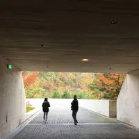 ミホミュージアム（バス）の写真・動画_image_697415