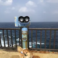 辺戸岬の写真・動画_image_697721
