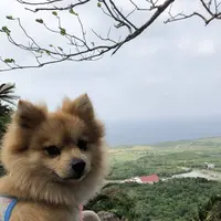 大石林山の写真・動画_image_697739