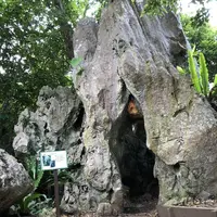 大石林山の写真・動画_image_697741