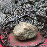 大石林山の写真・動画_image_697742