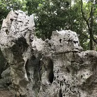 大石林山の写真・動画_image_697743