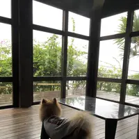 カフーリゾートフチャク コンドホテルの写真・動画_image_698073