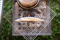ふもとっぱらの写真・動画_image_698399