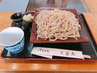芙蓉庵の写真・動画_image_698538