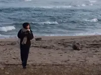 網野町網野の写真・動画_image_699409