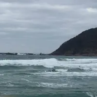 網野町網野の写真・動画_image_699410