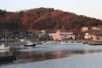 網野町網野の写真・動画_image_699412
