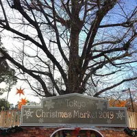 芝公園の写真・動画_image_699972