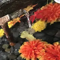 熊野大社の写真・動画_image_700241