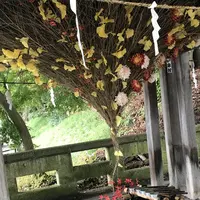 熊野大社の写真・動画_image_700250