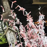 熊野大社の写真・動画_image_700251