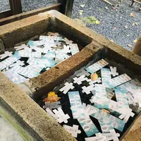 熊野大社の写真・動画_image_700254