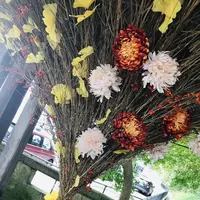 熊野大社の写真・動画_image_700257