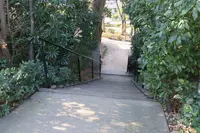 ザ・プリンス パークタワー東京の写真・動画_image_700751