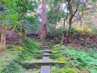 那谷寺の写真・動画_image_700887