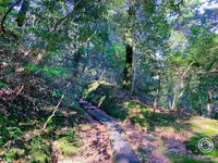 那谷寺の写真・動画_image_700888