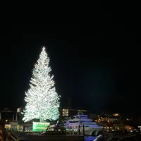 金森赤レンガ倉庫の写真・動画_image_700890