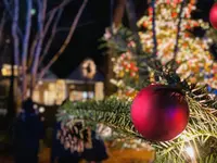 軽井沢高原教会の写真・動画_image_700897