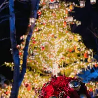 軽井沢高原教会の写真・動画_image_700898