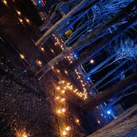 軽井沢高原教会の写真・動画_image_700907