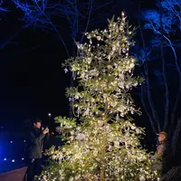 軽井沢高原教会の写真・動画_image_700923
