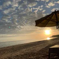 小浜島の写真・動画_image_701569