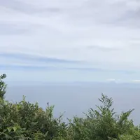 鶴御崎の写真・動画_image_701612