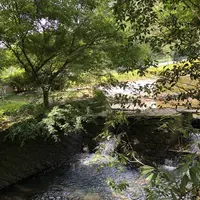 トトロのバス停の写真・動画_image_701625