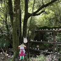 トトロのバス停の写真・動画_image_701626