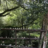 トトロのバス停の写真・動画_image_701629