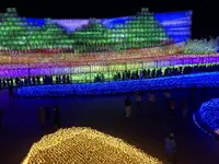 なばなの里の写真・動画_image_704928