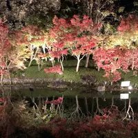 なばなの里の写真・動画_image_704929