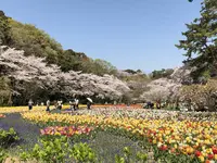 はままつフラワーパークの写真・動画_image_704948