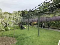 はままつフラワーパークの写真・動画_image_704949