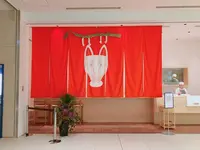 だしいなり　海木の写真・動画_image_705255