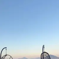 荘内半島オリーブ農園の写真・動画_image_706083