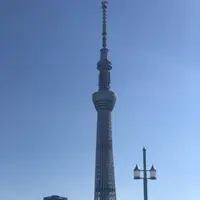 東京スカイツリーの写真・動画_image_707031
