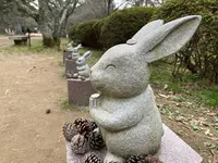 出雲大社の写真・動画_image_707355