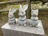 出雲大社の写真・動画_image_707358