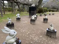 出雲大社の写真・動画_image_707361