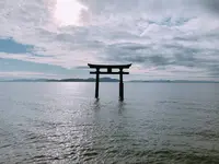 白鬚神社の写真・動画_image_708430