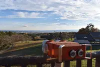 道の駅ぐりーんふらわー牧場・大胡の写真・動画_image_708452