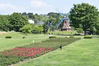 道の駅ぐりーんふらわー牧場・大胡の写真・動画_image_708456