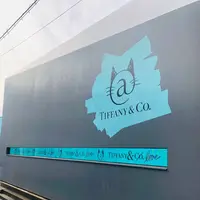 ティファニー＠キャットストリートの写真・動画_image_709815